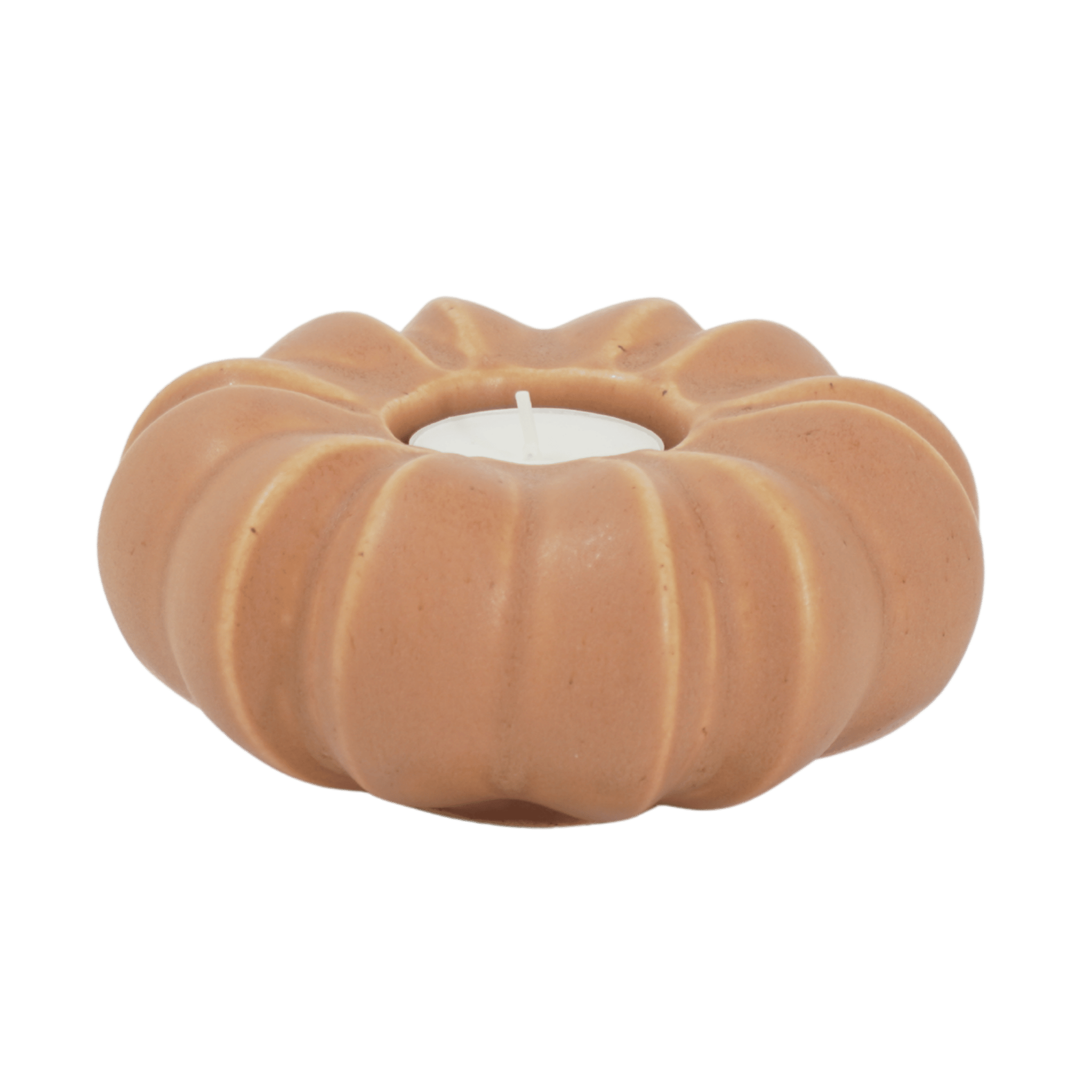 Fröhuslykta Stjärnanis