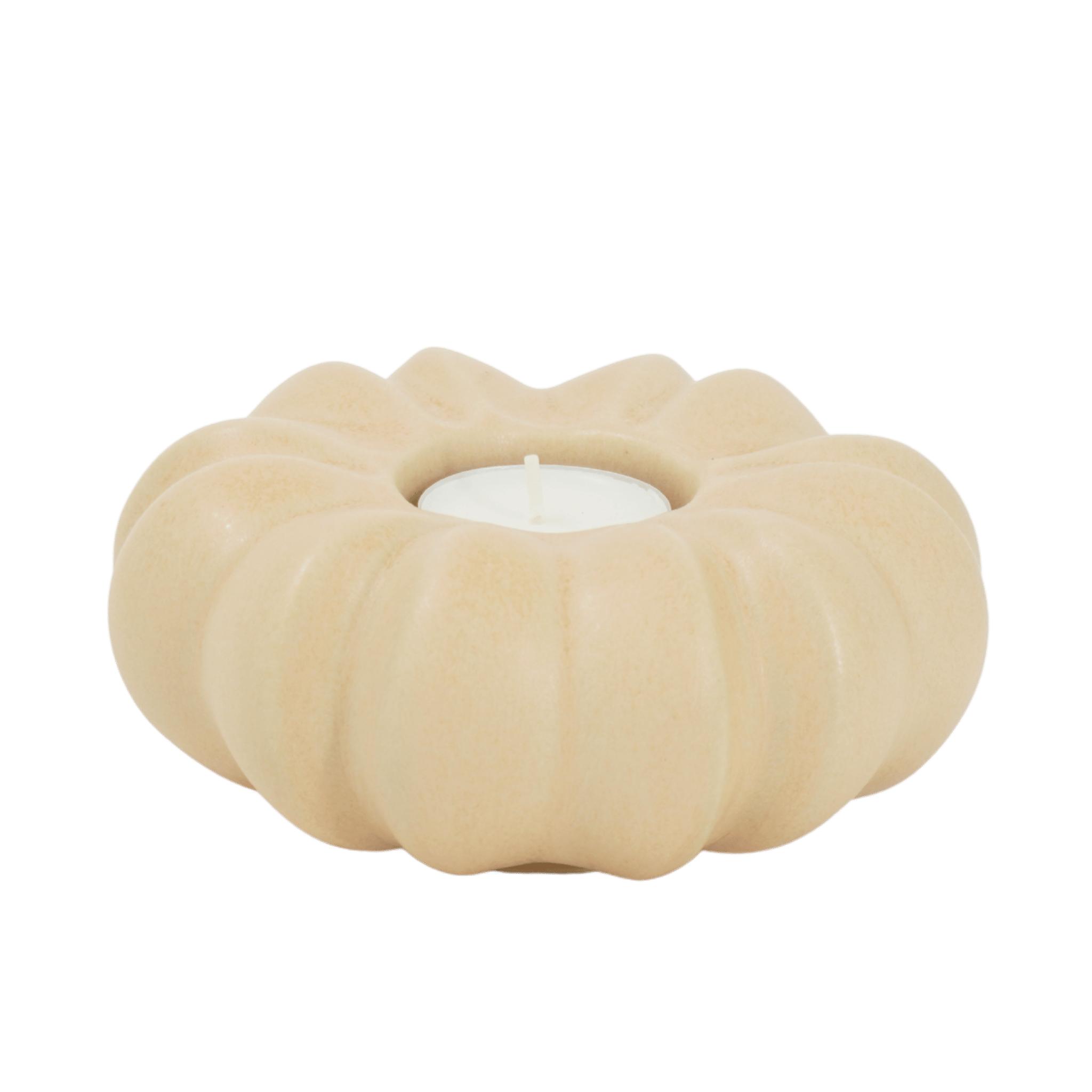 Fröhuslykta Stjärnanis