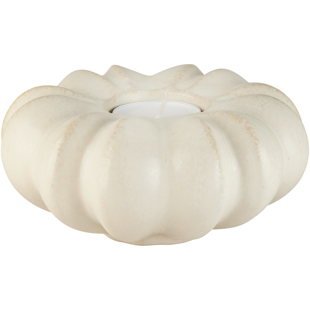 Fröhuslykta Stjärnanis