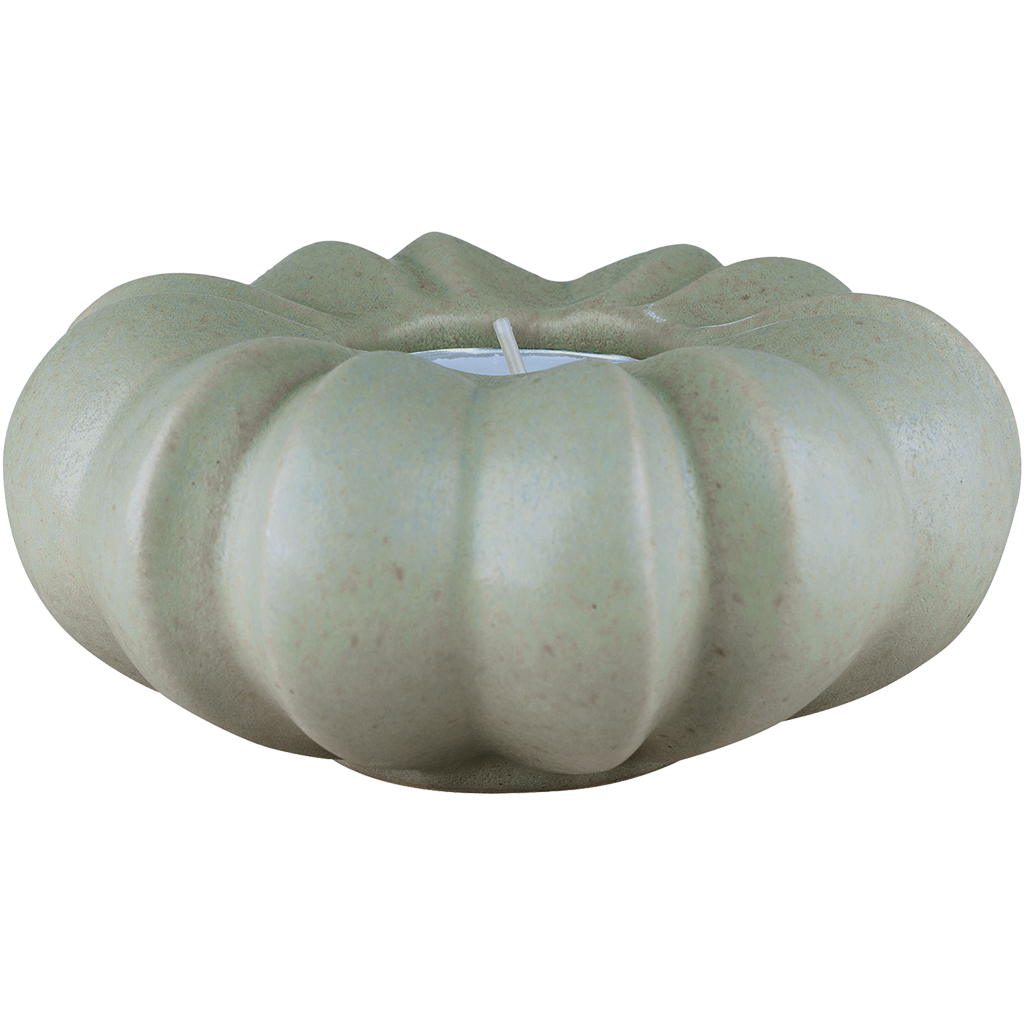 Fröhuslykta Stjärnanis