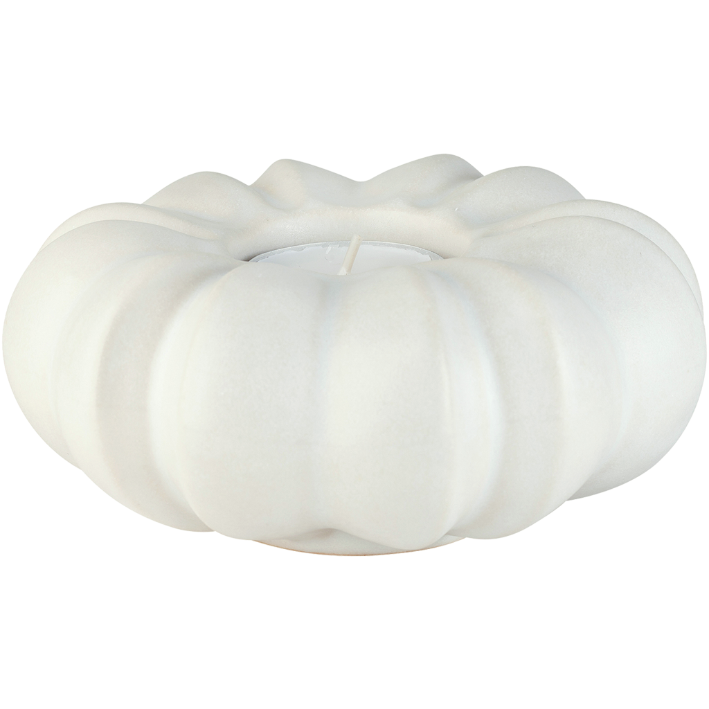 Fröhuslykta Stjärnanis