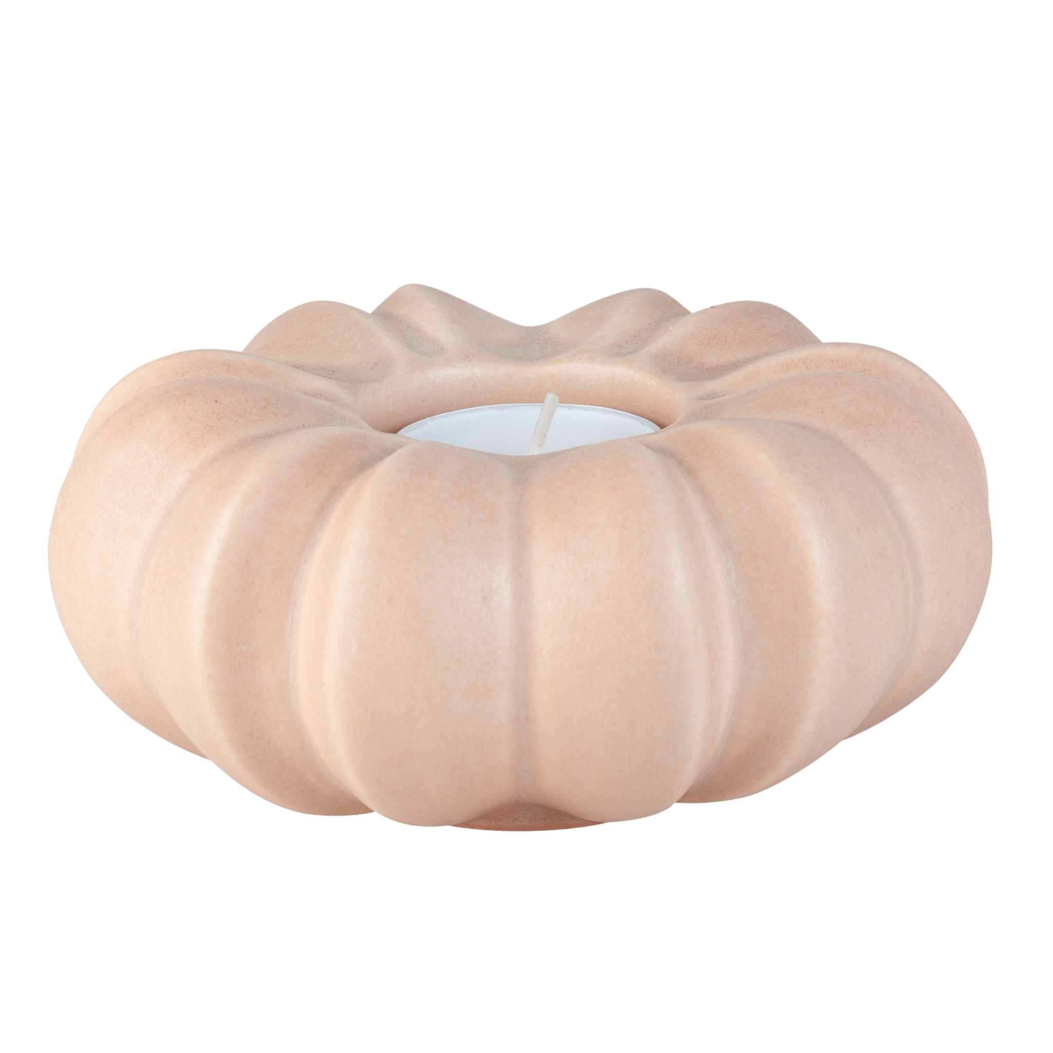 Fröhuslykta Stjärnanis