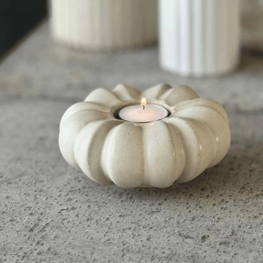 Fröhuslykta Stjärnanis