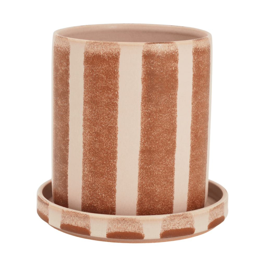 Bredrandig kruka med fat - Liten